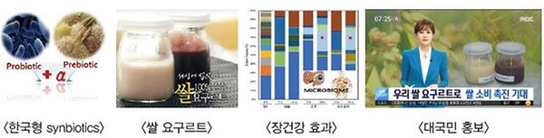 한국형 synbiotics, 쌀 요구르트, 장건강 효과, 대국민 홍보