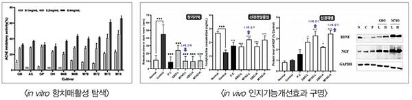 in vitro 항치매활성 탐색 및 in vivo 인지기능개선효과 구명