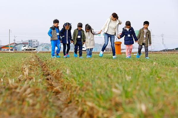 어린이 초청 밀밭 밟기 체험