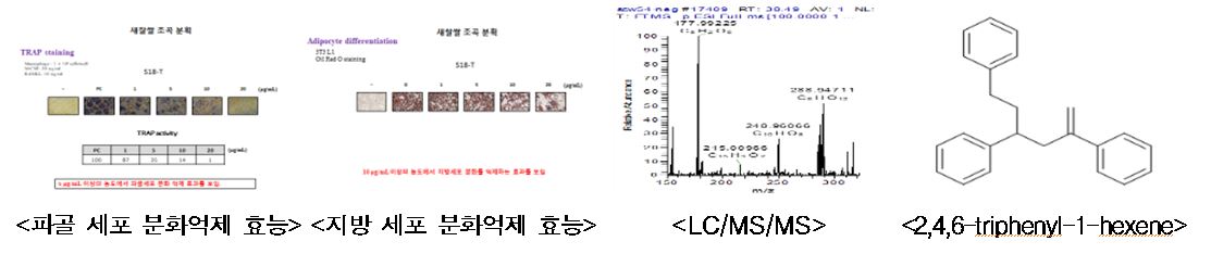 파골 세포 분화억제 효능, 지방 세포 분화억제 효능, LC/MS/MS, 2,4,6-triphenyl-1-hexene