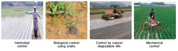 Weed Control Technology