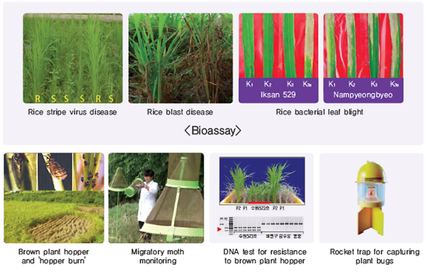 The resistance test for pest and disease management