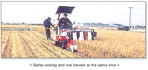 Barley sowing and rice harvest at the same time