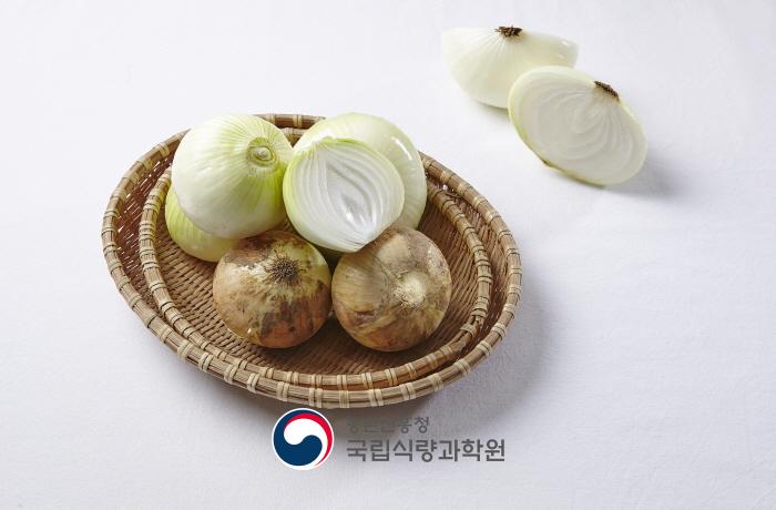 양파