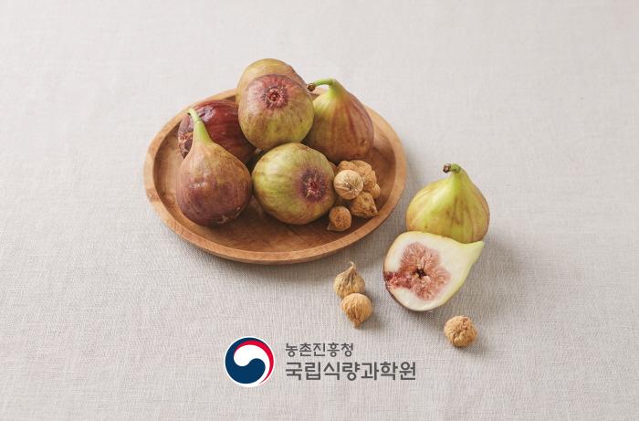 무화과