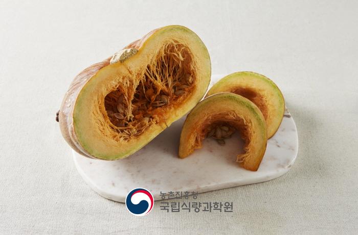 늙은 호박