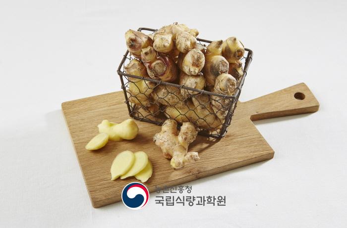 생강