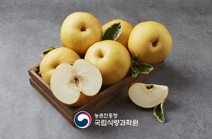 배