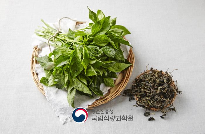 고춧잎