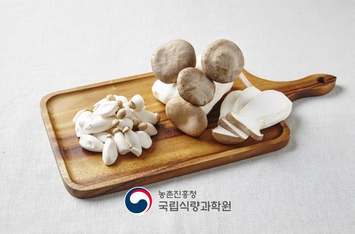 새송이