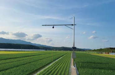 Rice crop monitoring system
