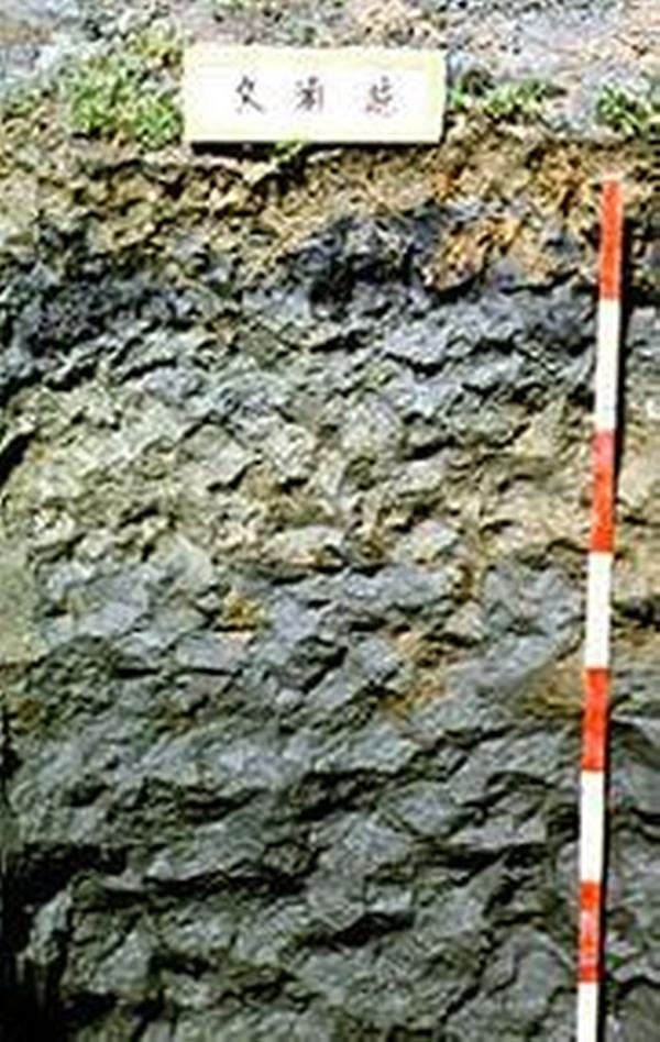 지하수위 예시화면