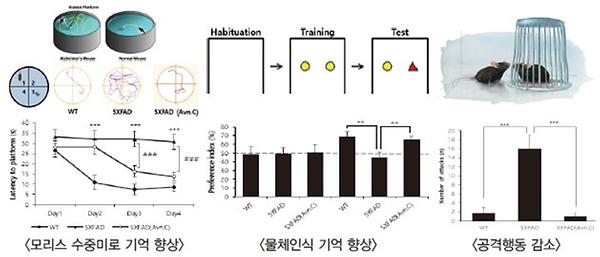 모리스 수중미로 기억 향상, 물체인식 기억 향상, 공격행동 감소