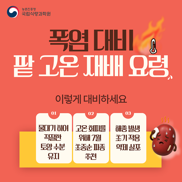 폭염대비 팥 고온 재배 요령