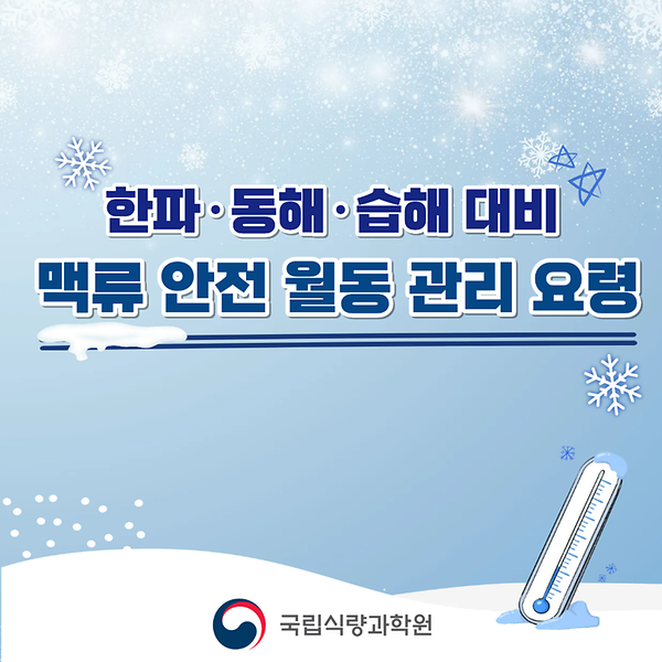 한파·동해·습해 대비 맥류 안전 월동 관리 요령 썸네일