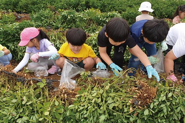 완주군 어린이 초청 땅콩, 고구마 수확체험