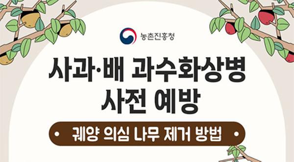 사과·배 화상병 예방을 위한 궤양 제거 요령 썸네일