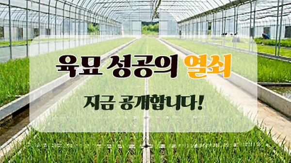 2026년 육묘 성공의 열쇠 썸네일
