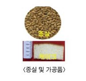 종실 및 가공품