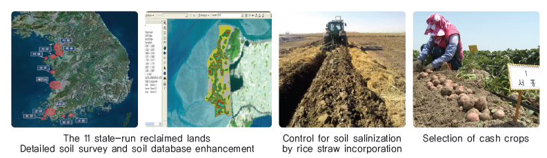 Research on soil salinity management for upland soil