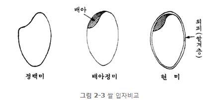 그림 2-3 쌀 입자비교