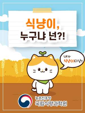 식냥이, 누구냐 넌?!  내가 식냥이다 냥! 농촌진흥청 국립식량과학원