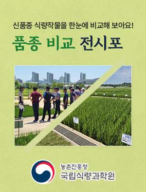 신품종 식량작물을 한눈에 비교해 보아요! 품종비교 전시포 농촌진흥청 국립식량과학원