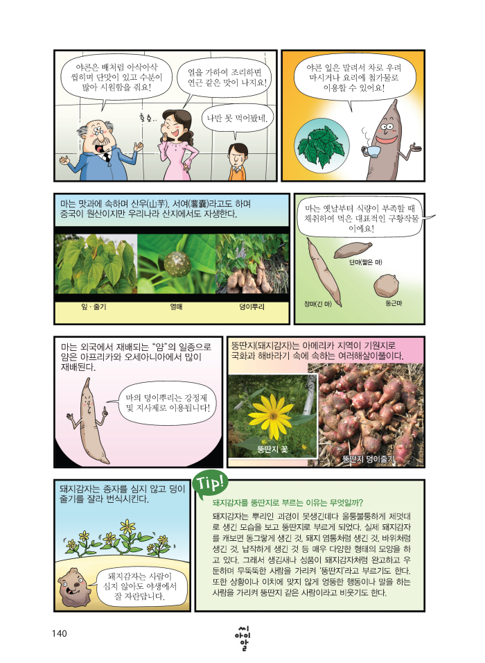 33.서류작물이란? 140페이지 자세한 내용은 하단참조